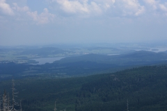 Šumava 441