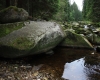 Šumava 2015 054