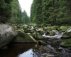 Šumava 2015 055