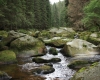 Šumava 2015 062