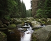 Šumava 2015 063