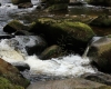 Šumava 2015 066