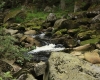 Šumava 2015 078
