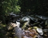 Šumava 2015 083