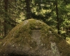 Šumava 2015 085