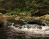 Šumava 2015 087