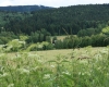 Šumava 2015 100