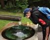 Šumava 2015 105