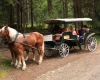 Šumava 2015 109