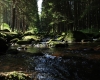 Šumava 2015 121