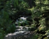 Šumava 2015 124
