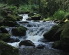 Šumava 2015 130
