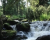 Šumava 2015 131