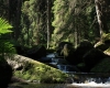 Šumava 2015 136