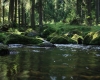Šumava 2015 137