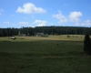 Šumava 2015 144