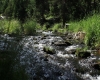 Šumava 2015 145