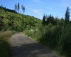 Šumava 2015 147