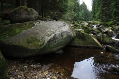 Šumava 2015 054