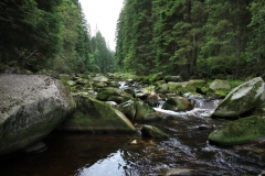 Šumava 2015 055