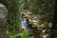 Šumava 2015 072