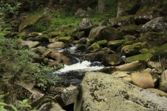 Šumava 2015 078