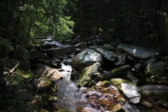 Šumava 2015 083