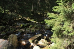 Šumava 2015 084