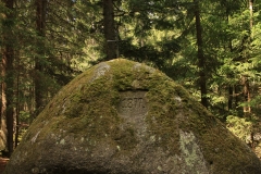 Šumava 2015 085