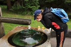 Šumava 2015 105