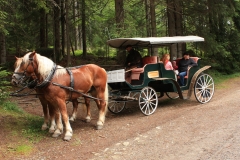 Šumava 2015 109