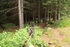 Šumava 2015 112