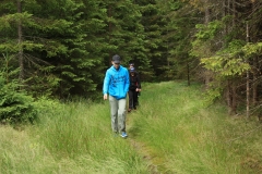 Šumava 2015 114