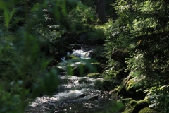 Šumava 2015 124