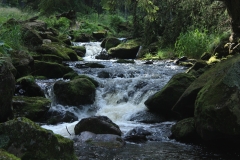 Šumava 2015 130
