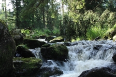 Šumava 2015 131