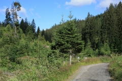 Šumava 2015 134