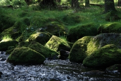 Šumava 2015 138