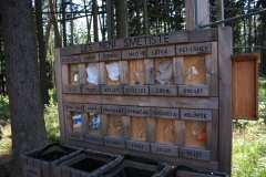 Šumava 2015 180