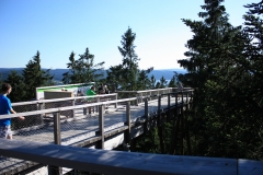Šumava 2015 214