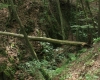 Templštýn 031