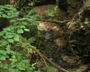 Templštýn 073