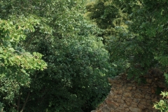 Templštýn 059