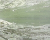 Vysoké Tatry 2018 873