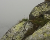 Vysoké Tatry 2018 930