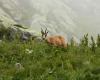 Vysoké Tatry 2018 978