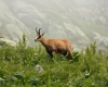 Vysoké Tatry 2018 990