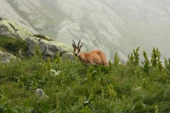 Vysoké Tatry 2018 978