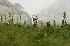 Vysoké Tatry 2018 993