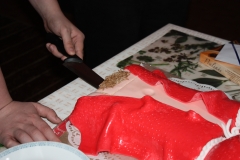 Tomášek 18 let 036